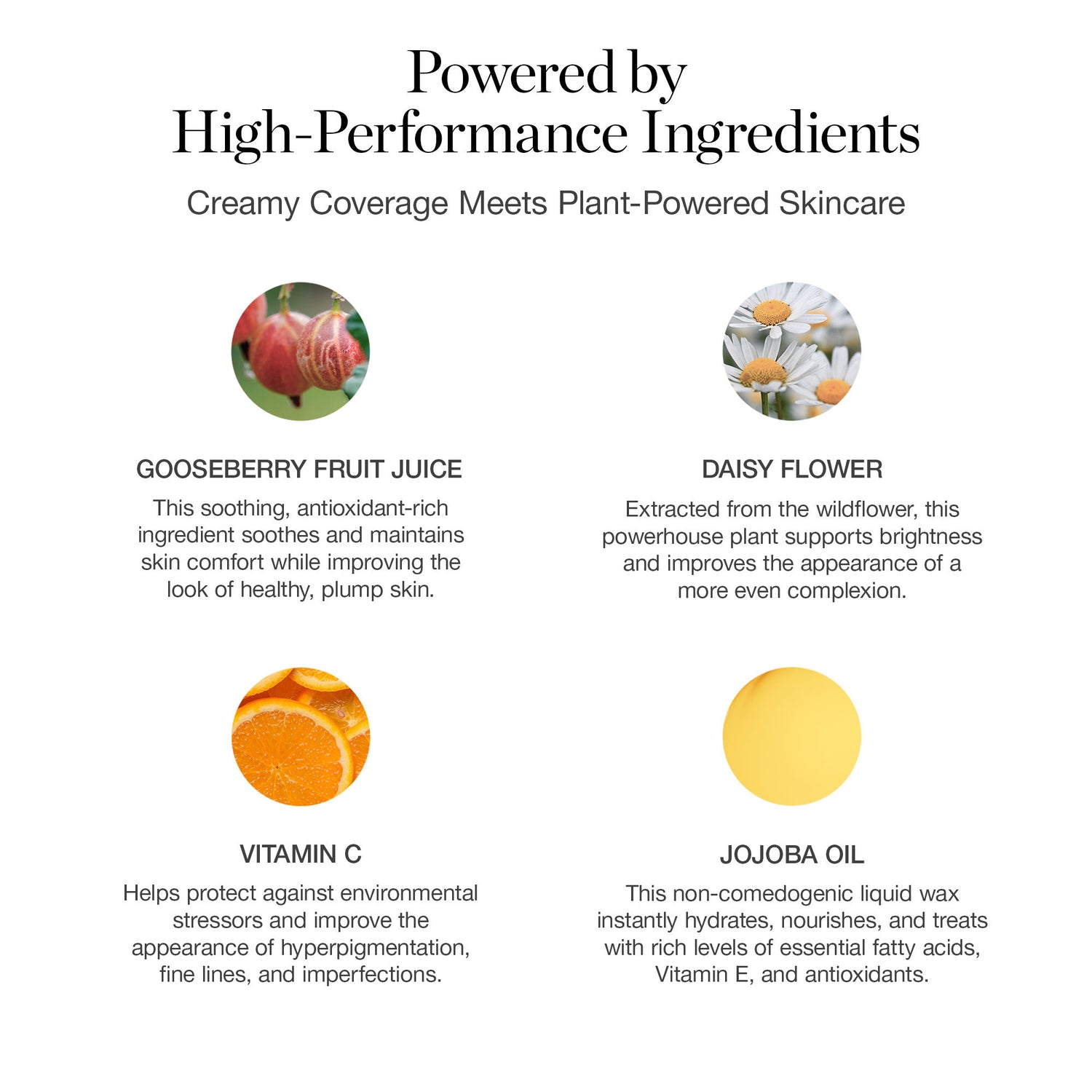 Information related to Ogee Complexion Perfecting Serum Foundation