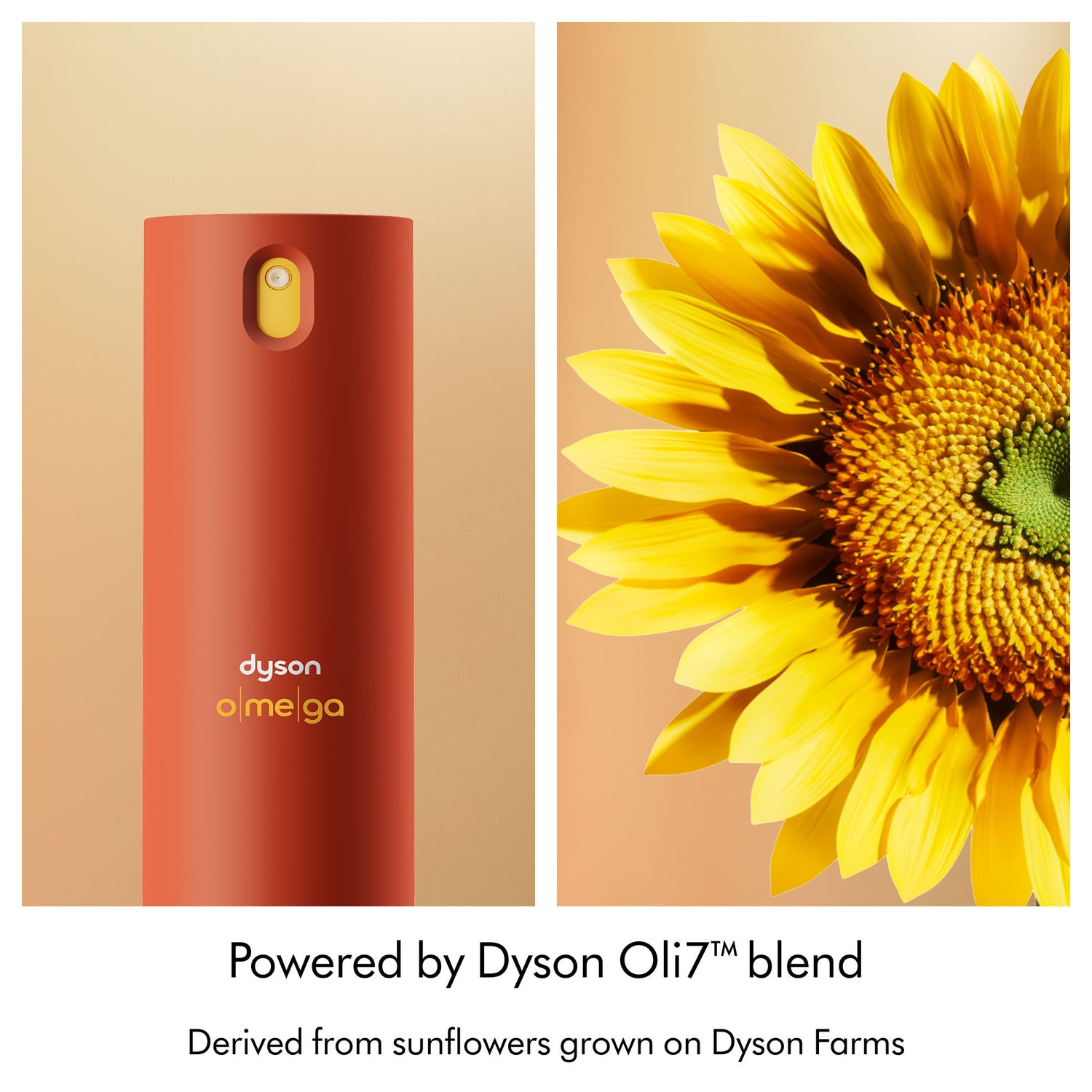 Image of product in the same collection as Dyson Omega Leave-in Conditioning Spray
