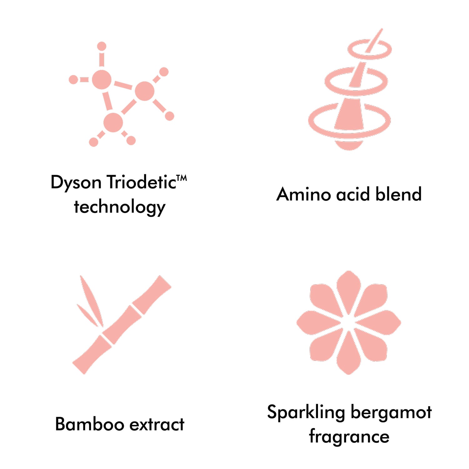 Image of product in the same collection as Dyson Chitosan Multi-use Styling Spray