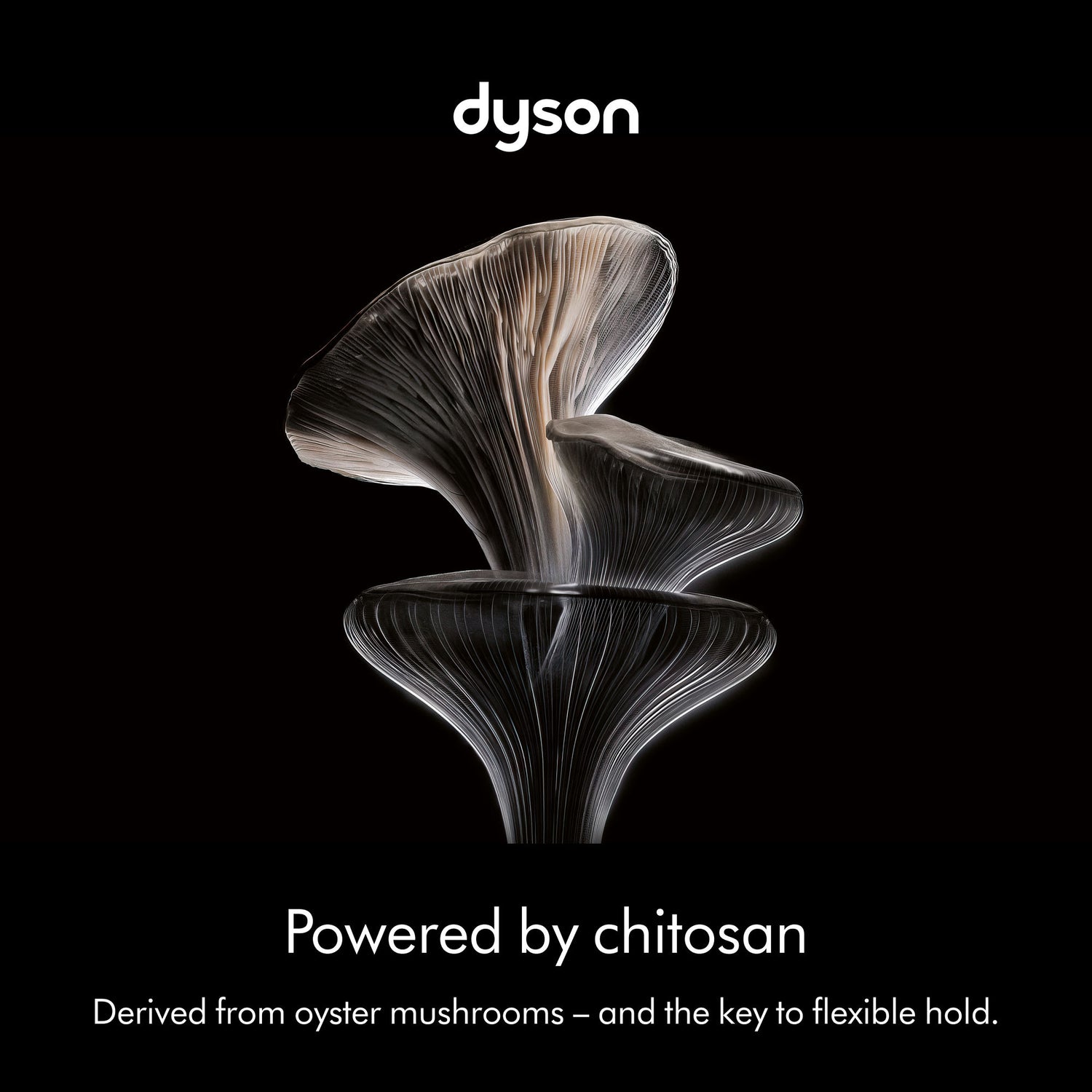 Image of product in the same collection as Dyson Chitosan Multi-use Styling Spray