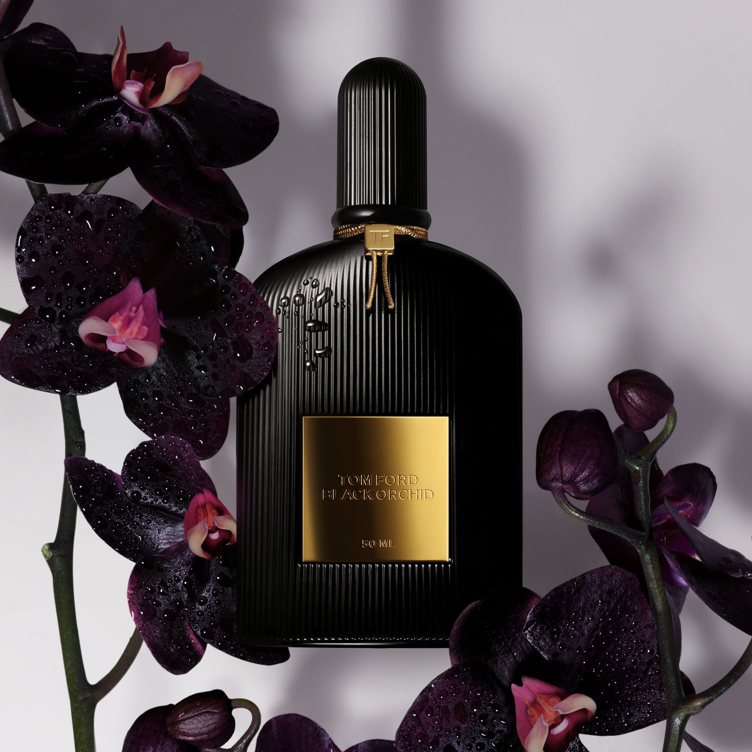 Lifestyle image of Tom Ford Black Orchid Eau de Parfum variant: 1.7 oz