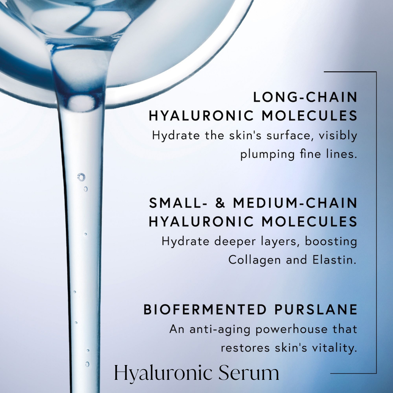 Hyaluronic Serum and Face Cream Duo