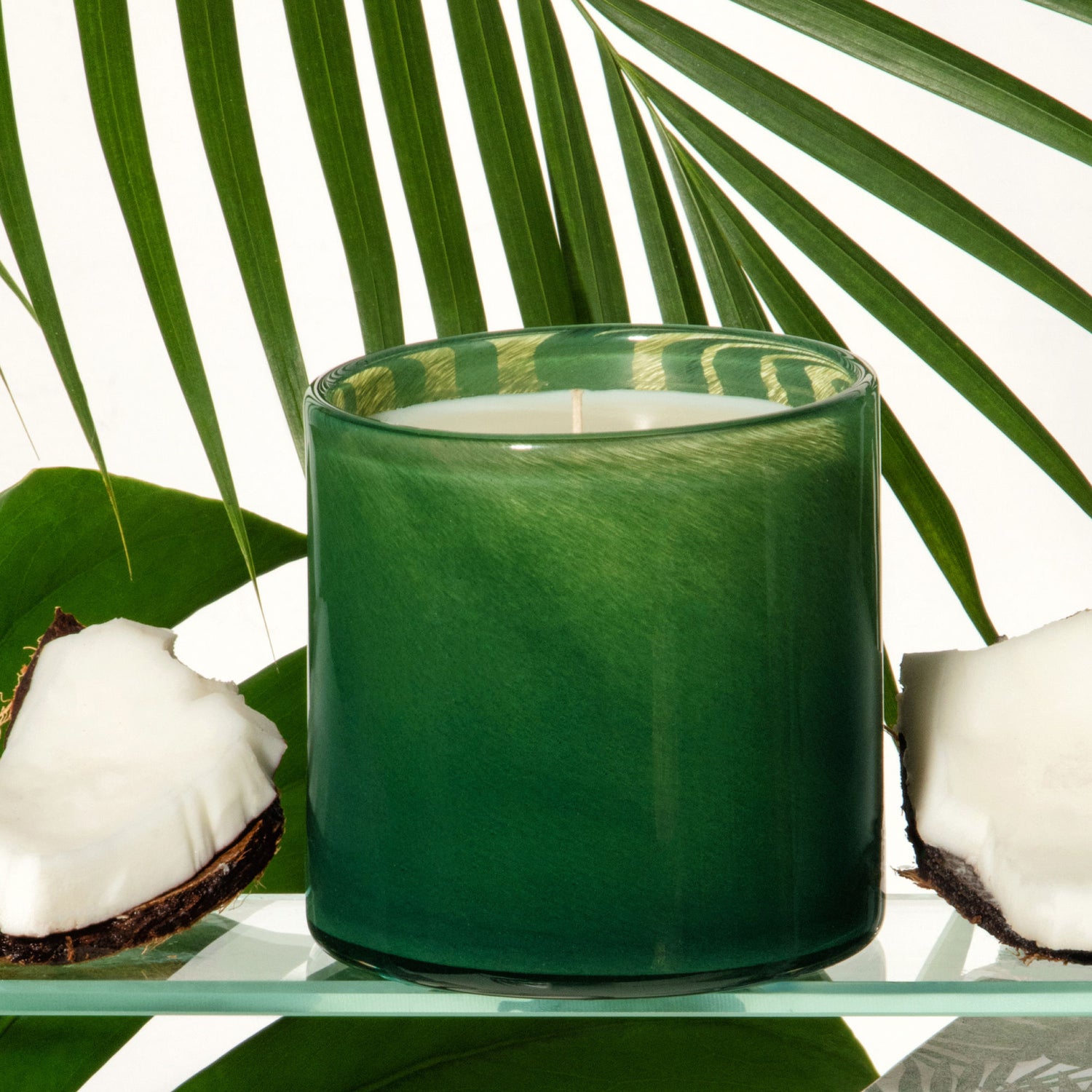 Lifestyle image of Lafco Jungle Bloom Candle variant: 15.5 oz (Signature)