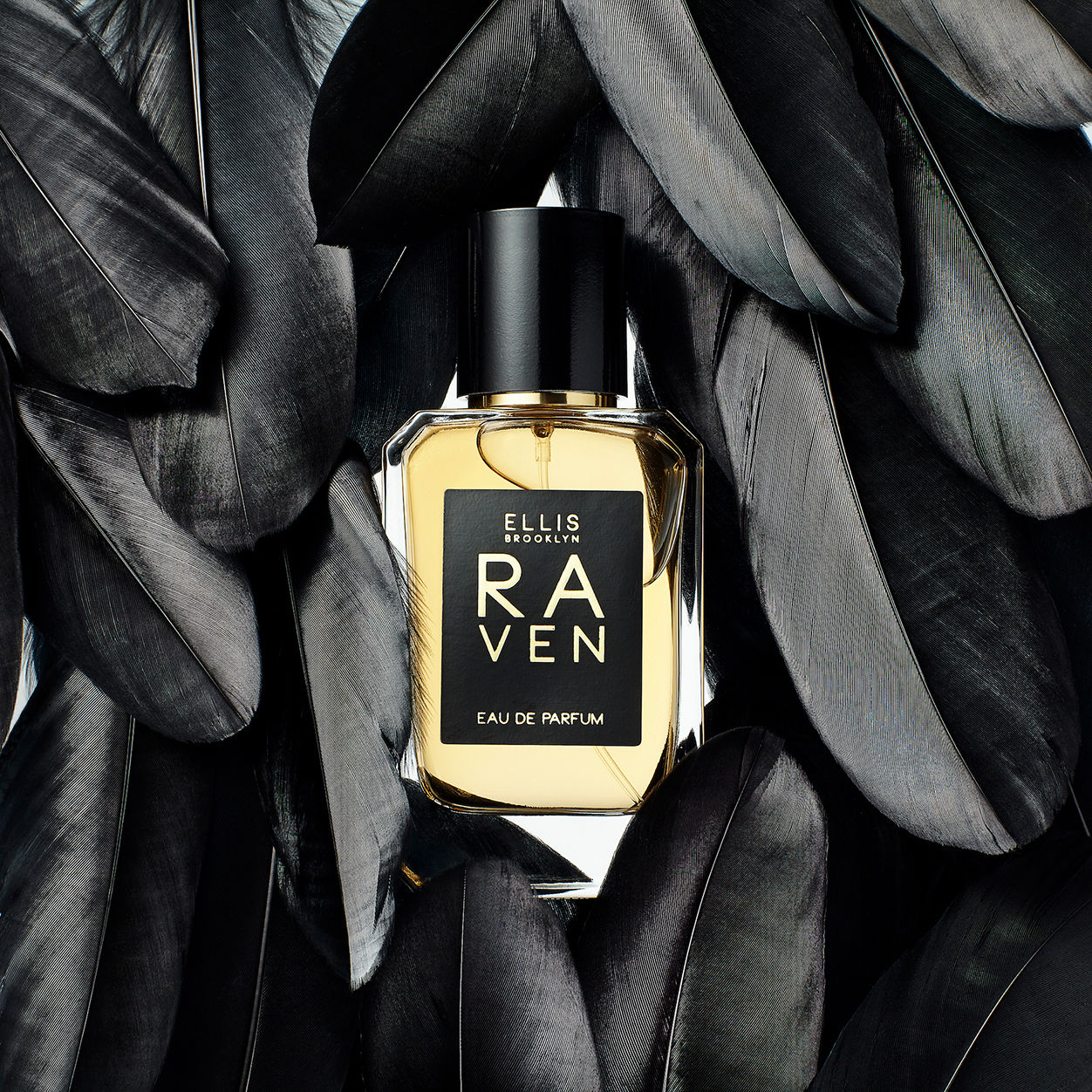 Lifestyle image of Ellis Brooklyn Raven Eau de Parfum variant: 1.7 fl oz
