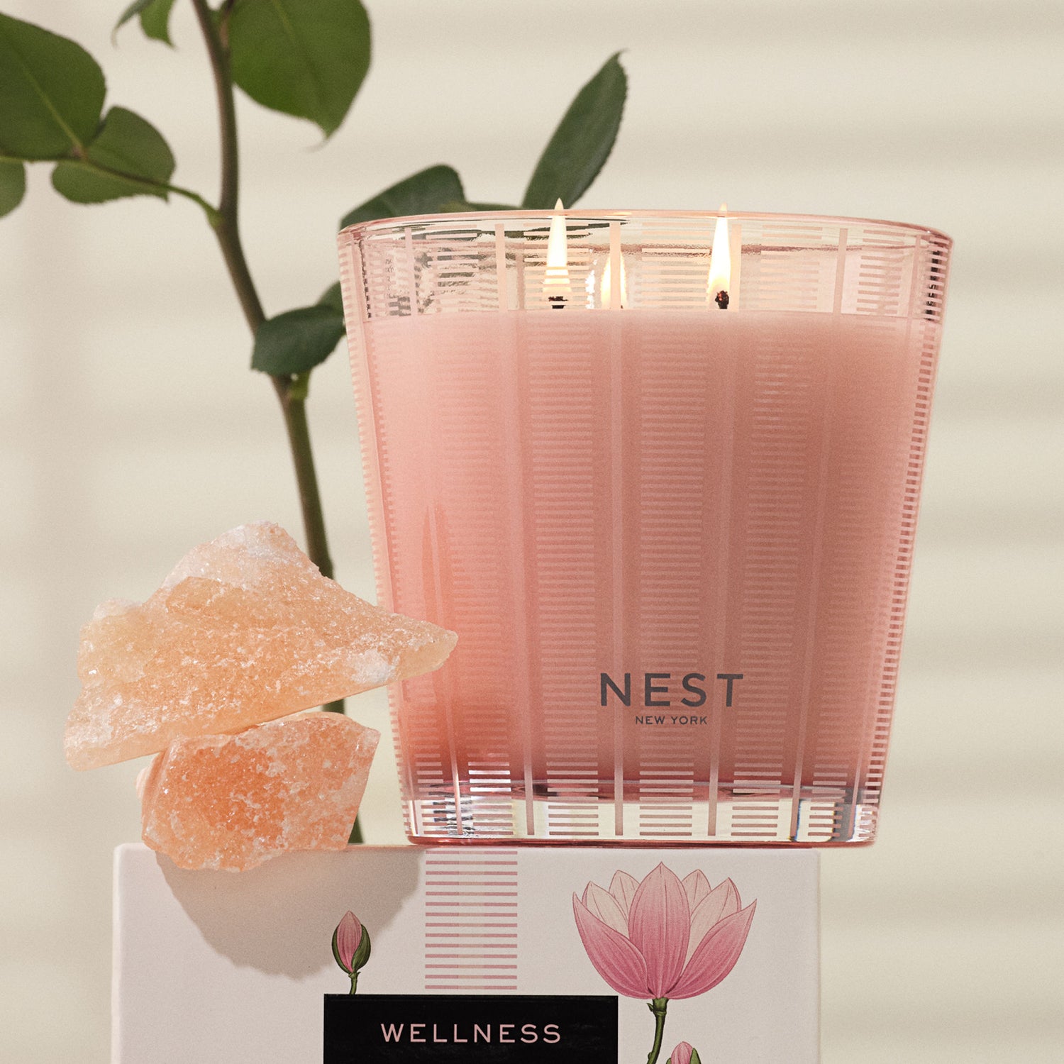 Lifestyle image of Nest Himalayan Salt & Rosewater Candle variant: 21.1 oz (3-Wick)