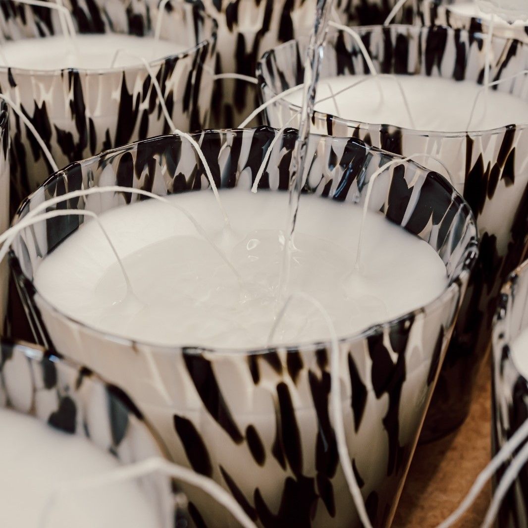 Back image of Baobab Collection Pearls Black Candle variant: 21.59 lb (Max 35)