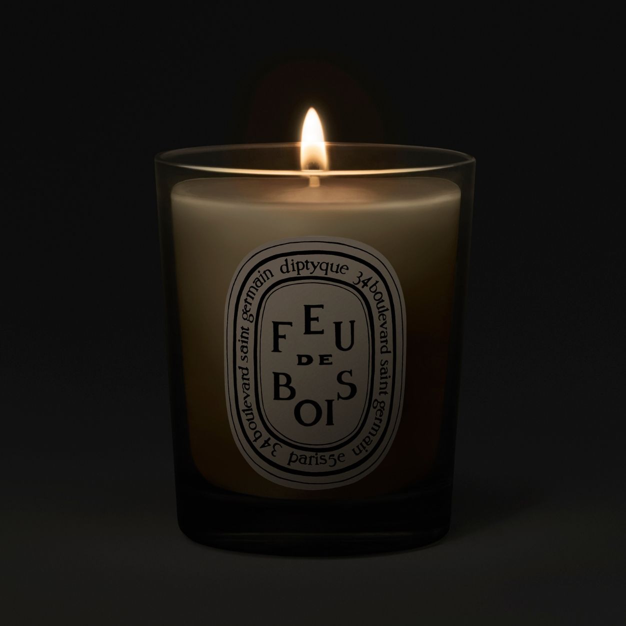 Lifestyle image of Diptyque Feu de Bois (Wood Fire) Candle variant: 2.5 oz (Small)