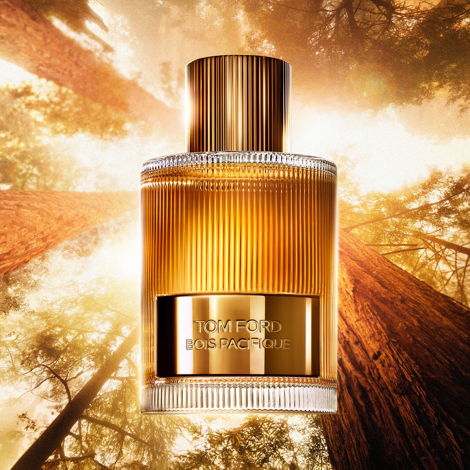 Lifestyle image of Tom Ford Bois Pacifique Eau De Parfum Fragrance variant: 3.4 fl oz
