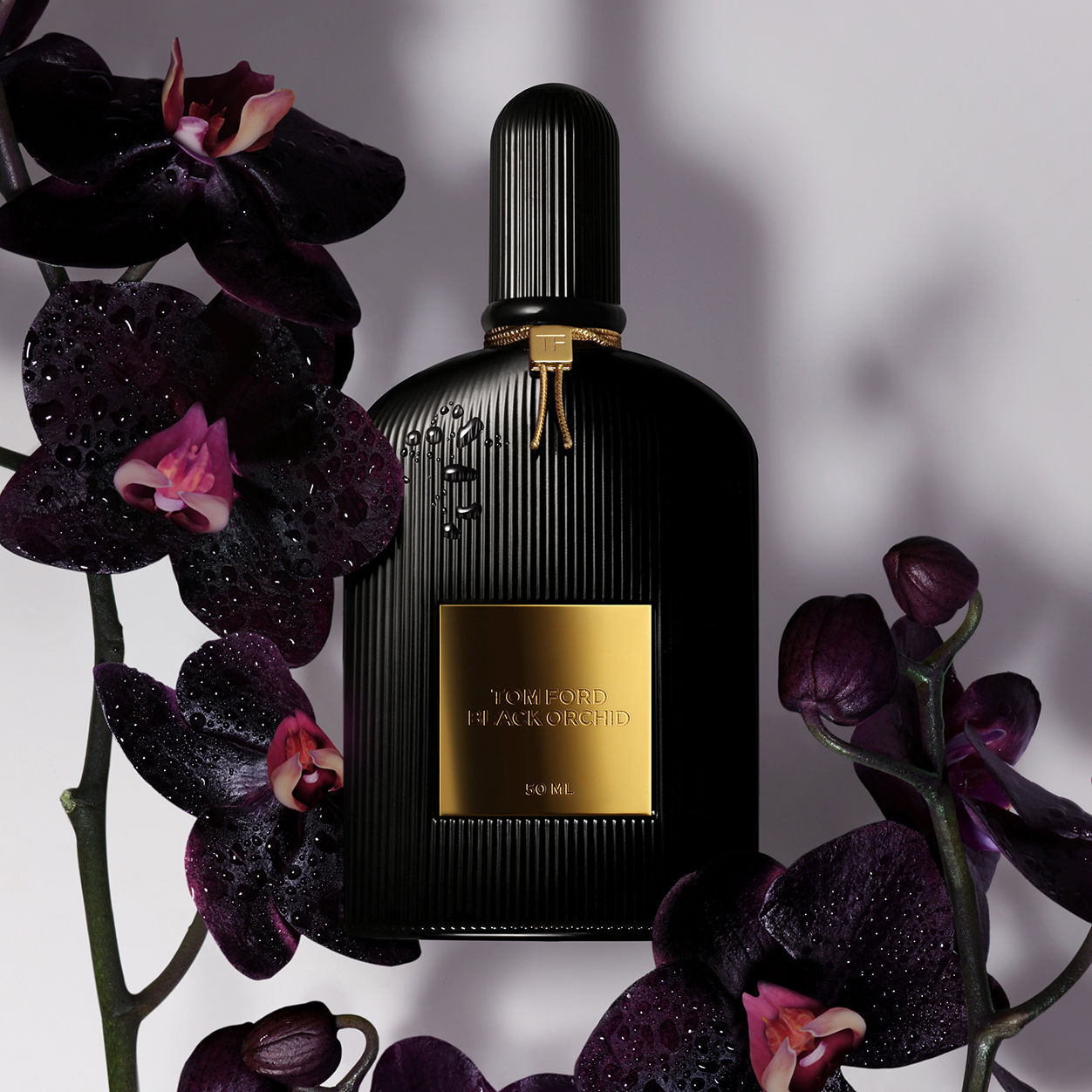 Lifestyle image of Tom Ford Black Orchid Eau de Parfum variant: 3.4 oz