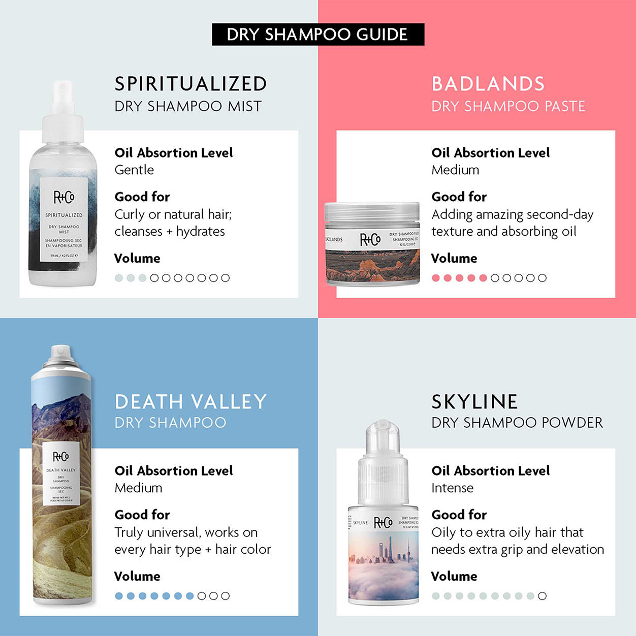 Information related to R+Co Spiritualized Dry Shampoo Mist