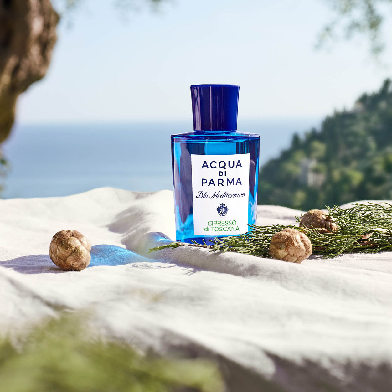 Lifestyle image of Acqua di Parma Cipresso Di Toscana Eau De Toilette variant: 5 oz