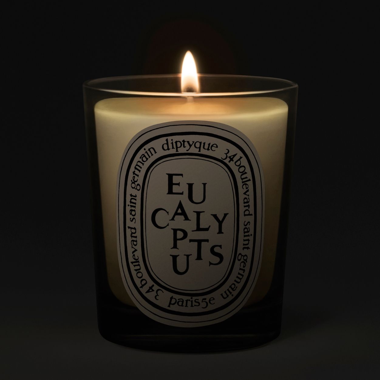 Lifestyle image of Diptyque Eucalyptus Candle variant: 6.5 oz (Classic)