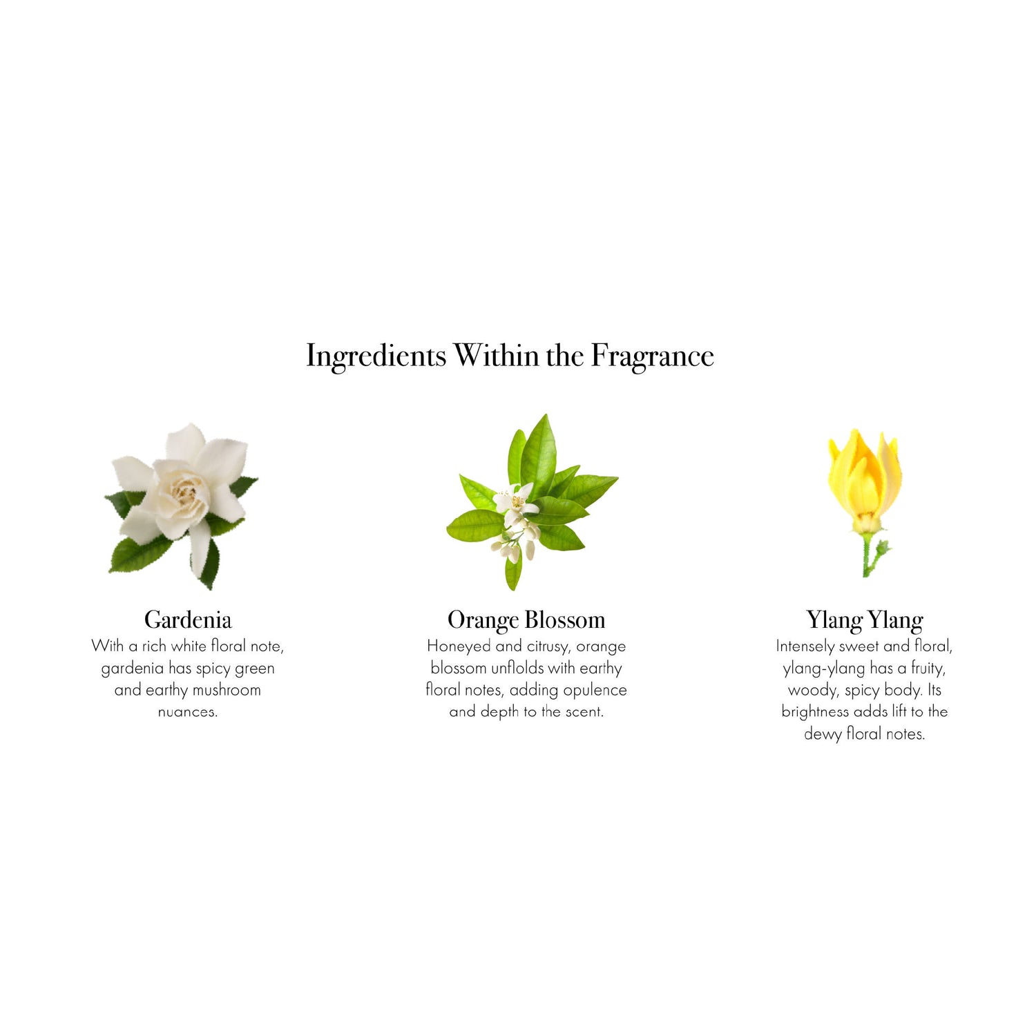 Information related to Lafco Fresh Cut Gardenia Candle
