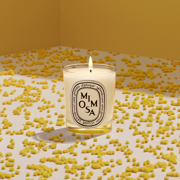 Diptyque Mimosa Candle – Diptyque – bluemercury