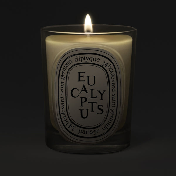 Diptyque Eucalyptus Candle – Diptyque – bluemercury