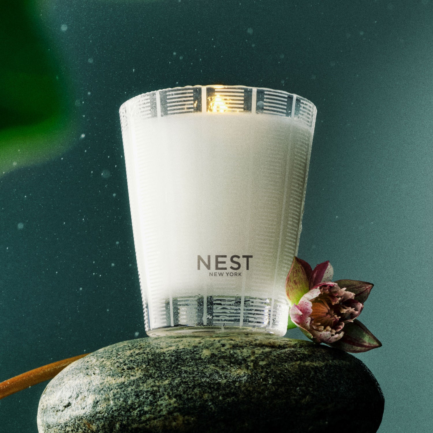 Lifestyle image of Nest Forest Rain Candle variant: 8.1 oz (Classic)