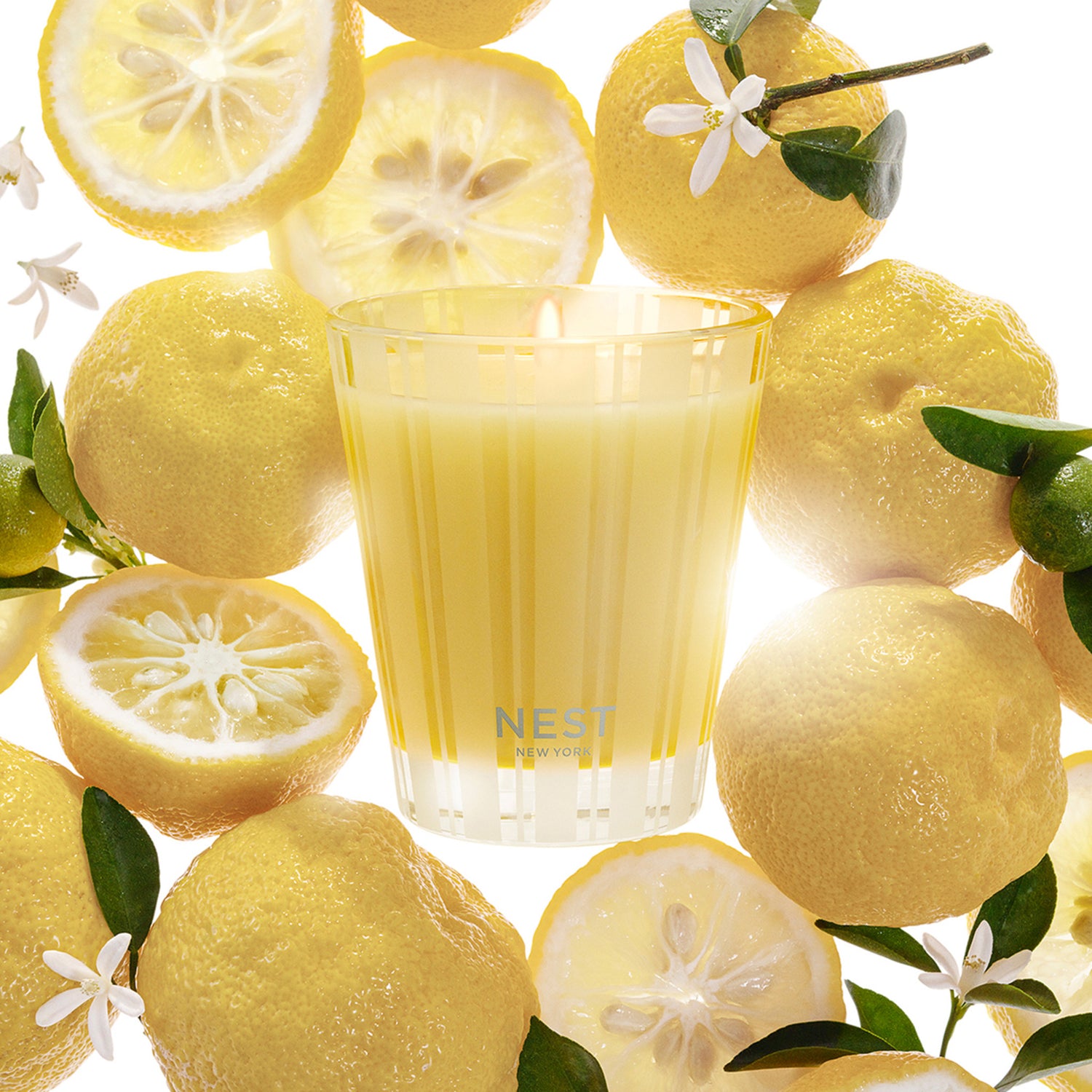 Nest Sunlit Yuzu and Neroli Candle Size variant: 8.1 oz (Classic) lifestyle image 3 .