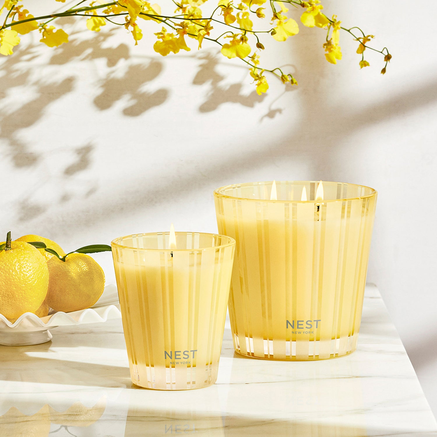 Nest Sunlit Yuzu and Neroli Candle Size variant: 8.1 oz (Classic) lifestyle image 5 .