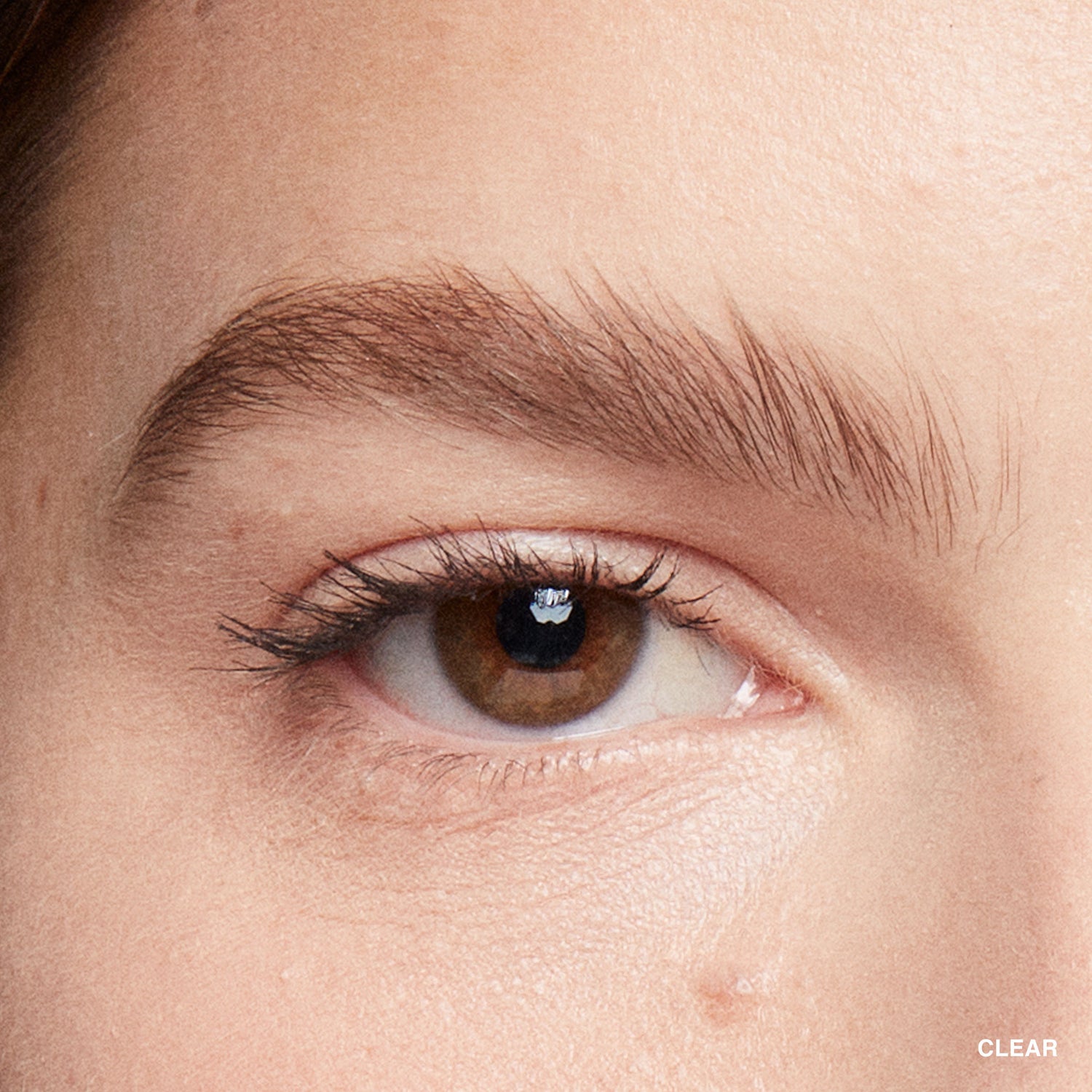 Model image of Bobbi Brown Natural Brow Shaper variant: Clear