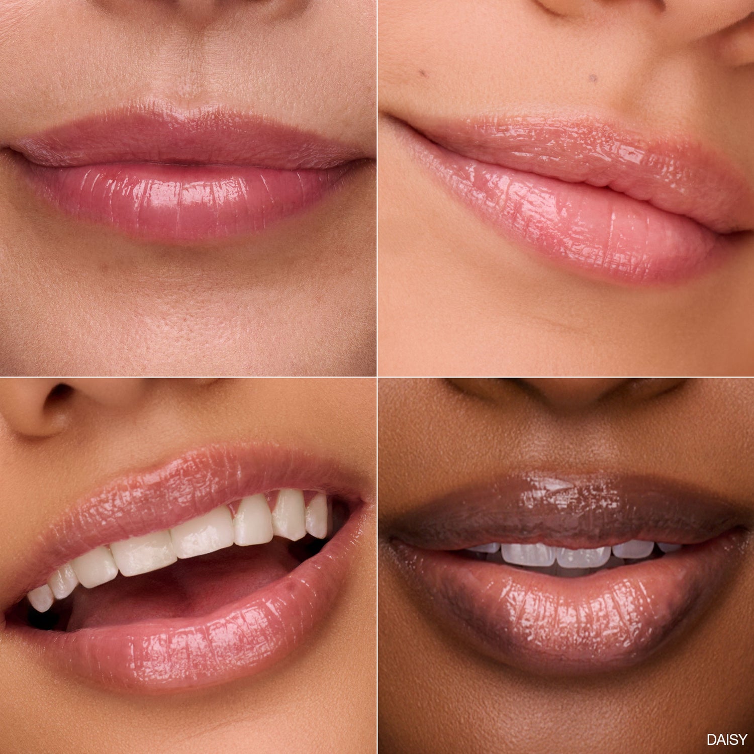 A shade comparison of variant: Daisy