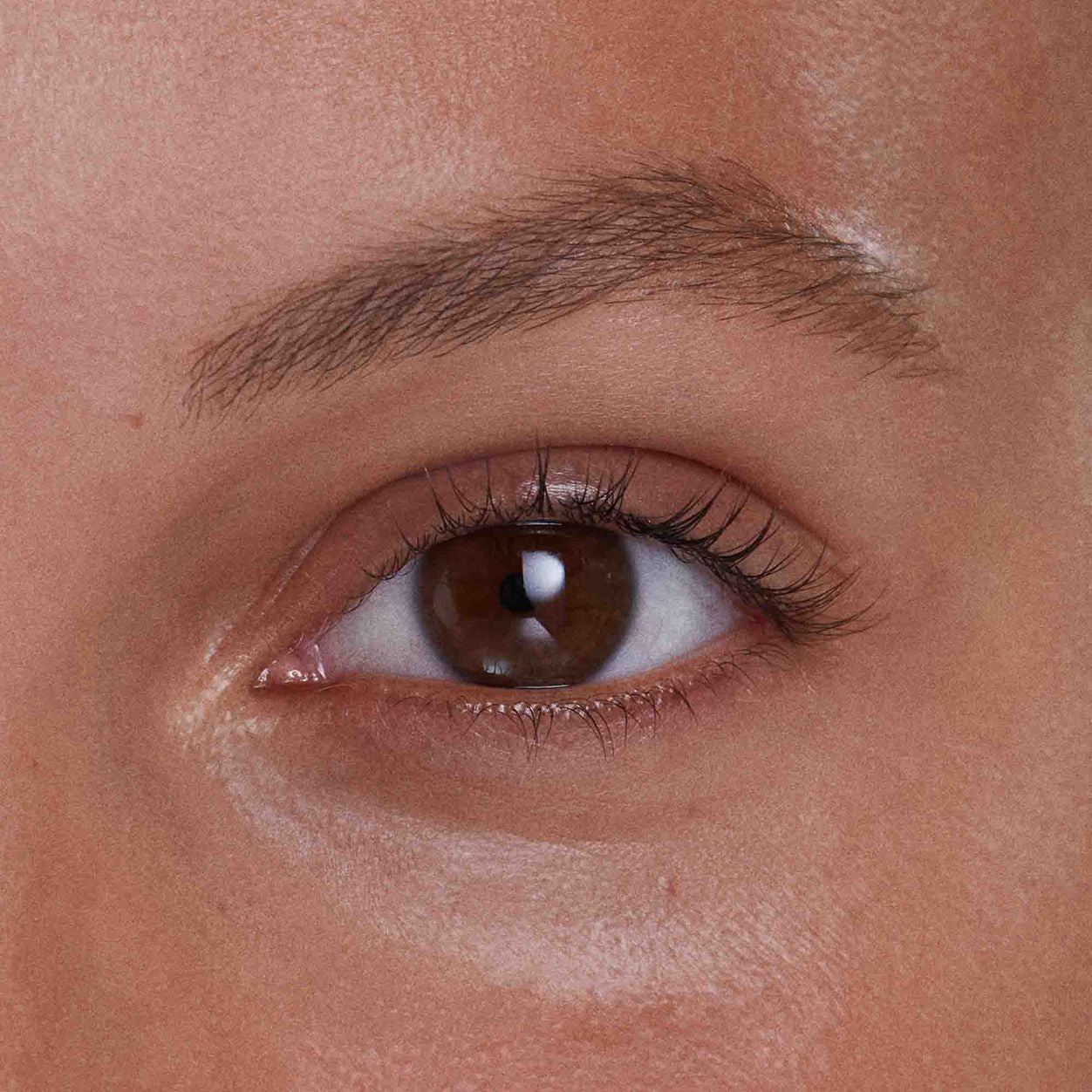 Model image of Kjaer Weis Brow Pencil variant: Deep Brown