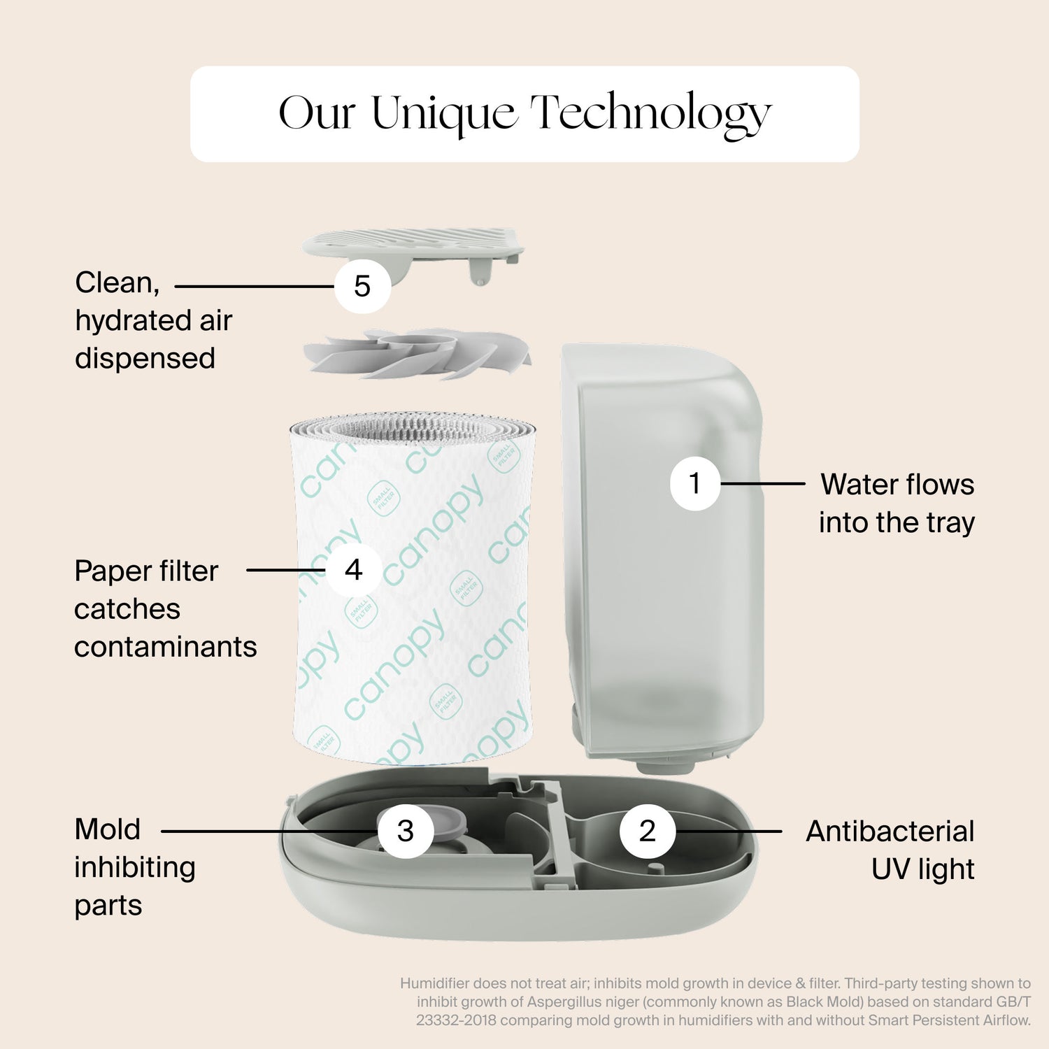 Lifestyle image of Canopy Canopy Humidifier Filter variant: Default Title