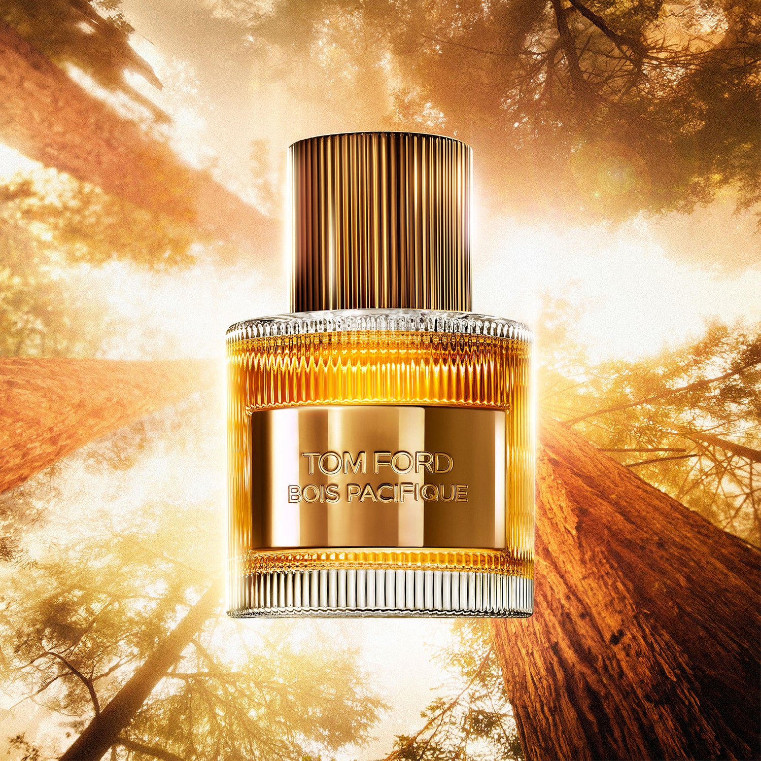 Lifestyle image of Tom Ford Bois Pacifique Eau De Parfum Fragrance variant: 1.7 fl oz