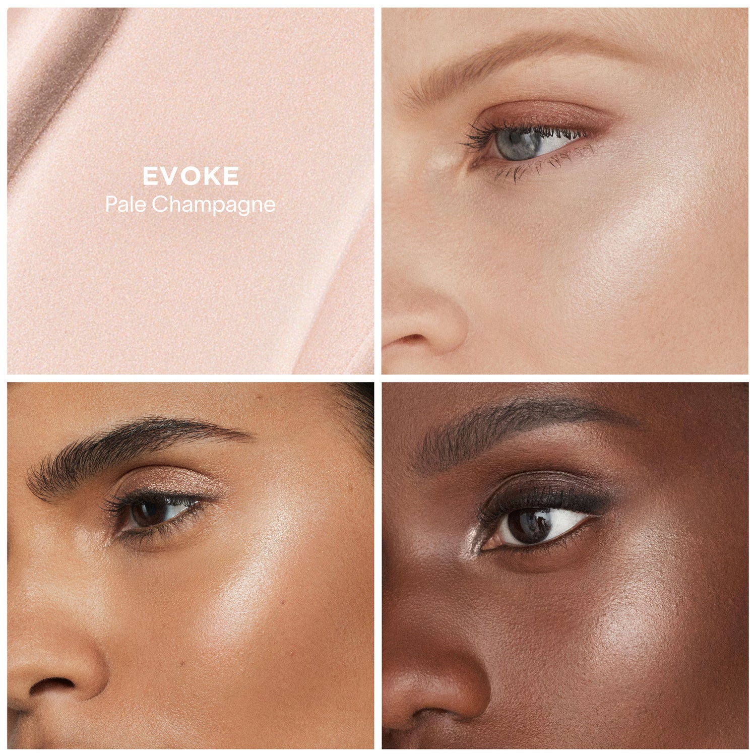 Packette image of variant: Evoke