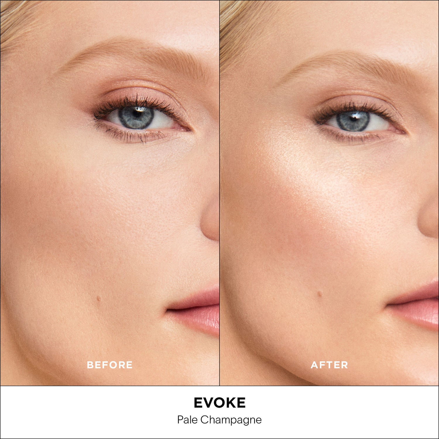 Image of the variant: Evoke box