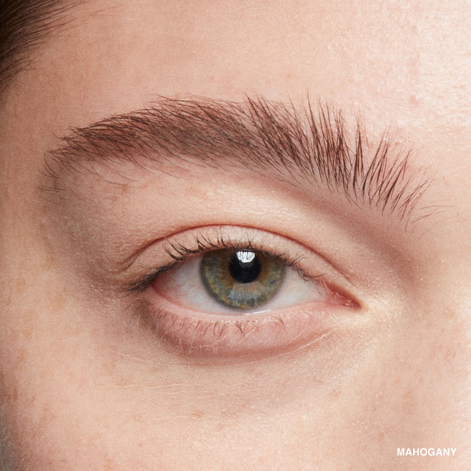Model image of Bobbi Brown Natural Brow Shaper variant: Mahogany