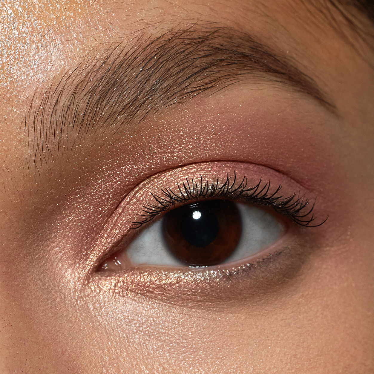Model image of Neen Pretty Shady Pressed Pigment variant: Muse