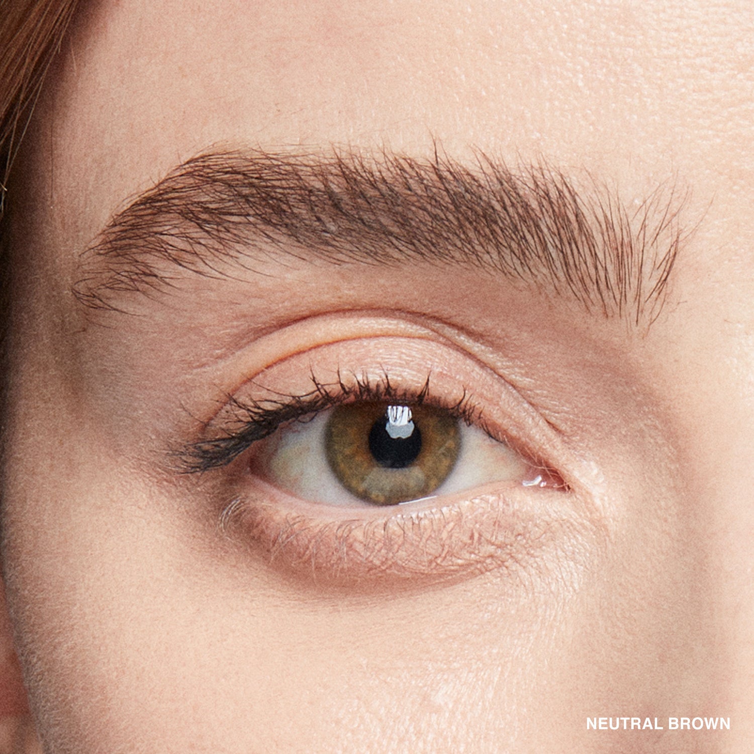 Model image of Bobbi Brown Natural Brow Shaper variant: Neutral Brown