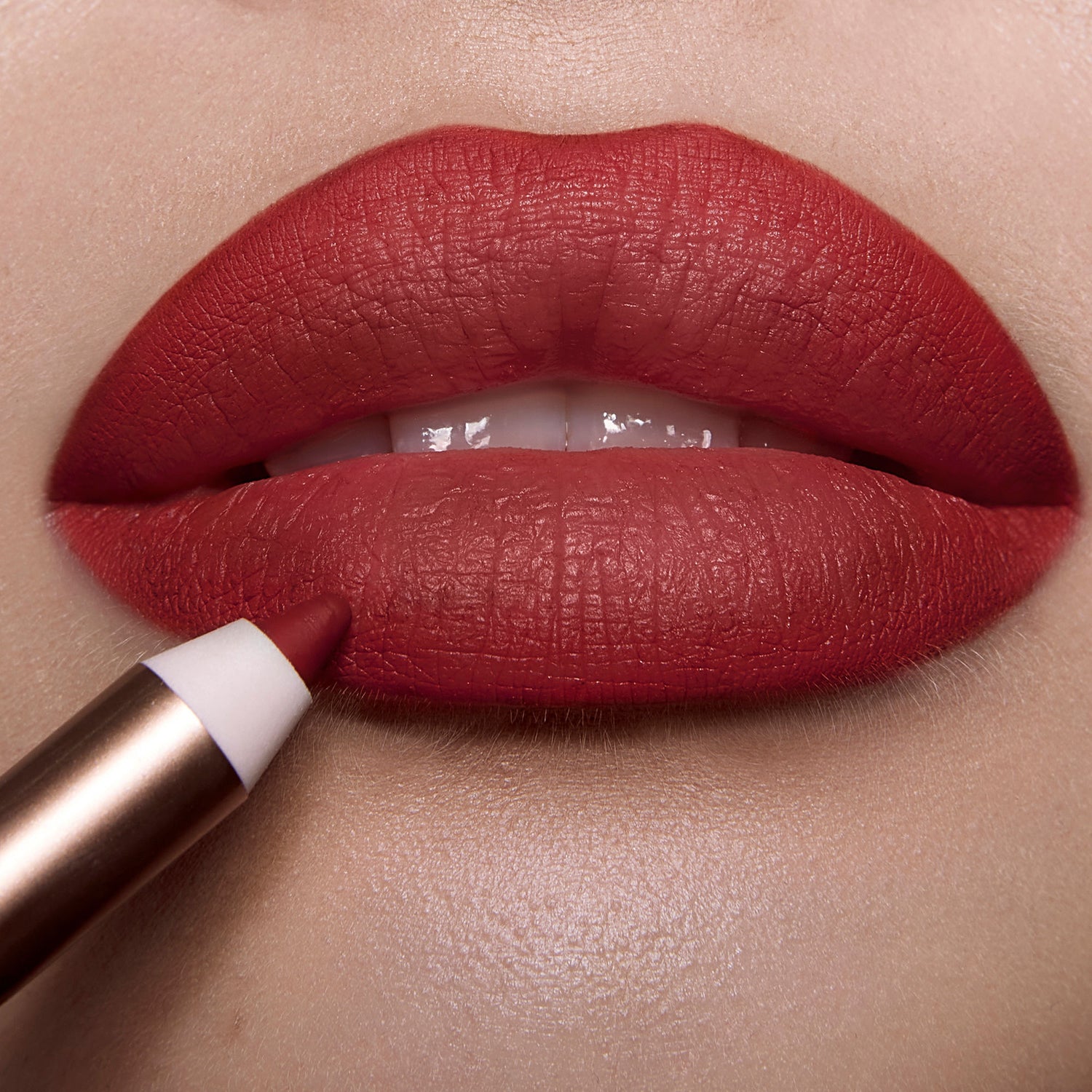Model image of Charlotte Tilbury Lip Cheat variant: Savage Rose