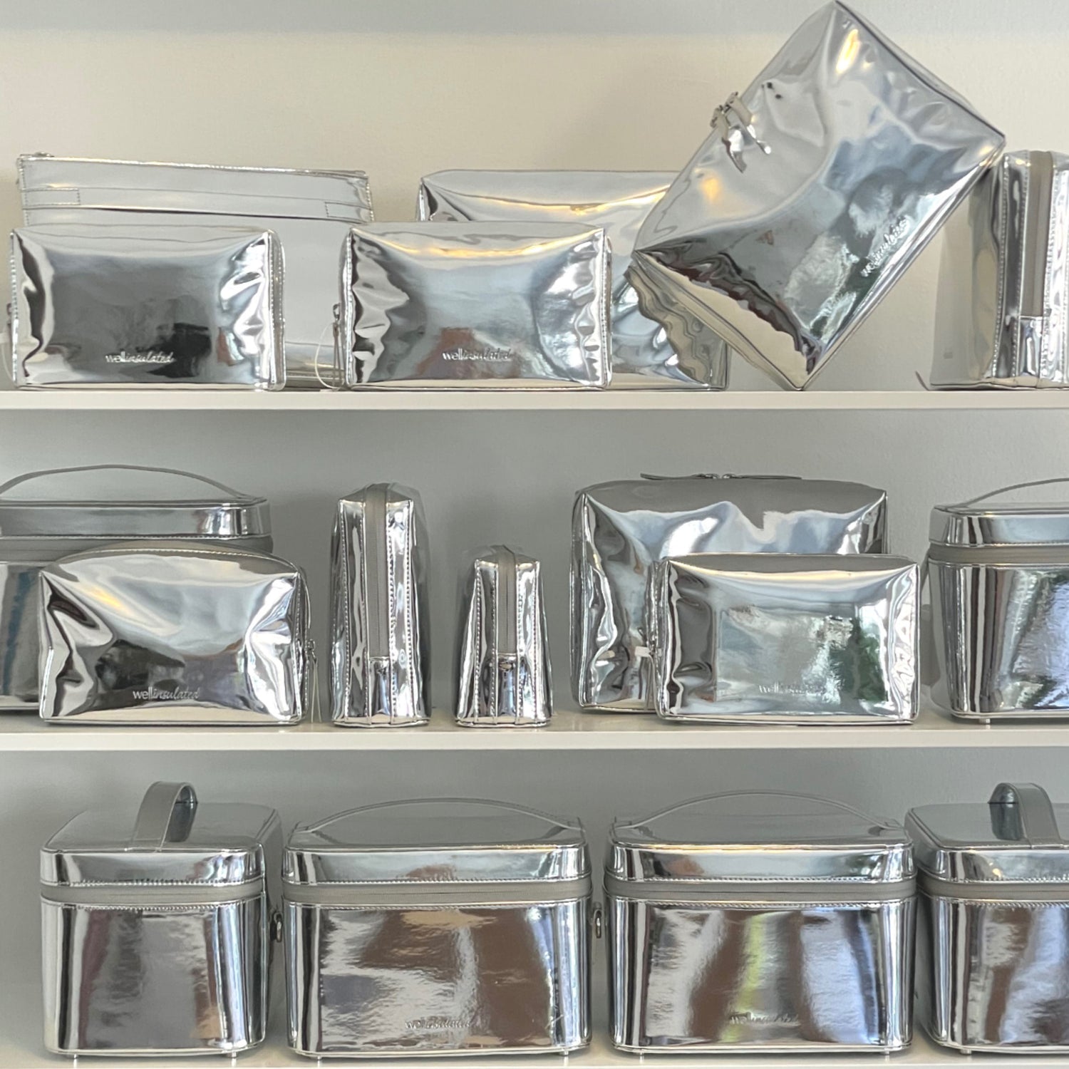 Model image of Wellinsulated Performance Beauty Bag variant: Silver