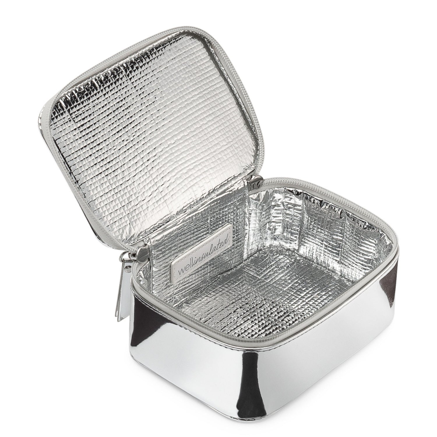 Wellinsulated Performance Mini Travel Case variant: Silver main image