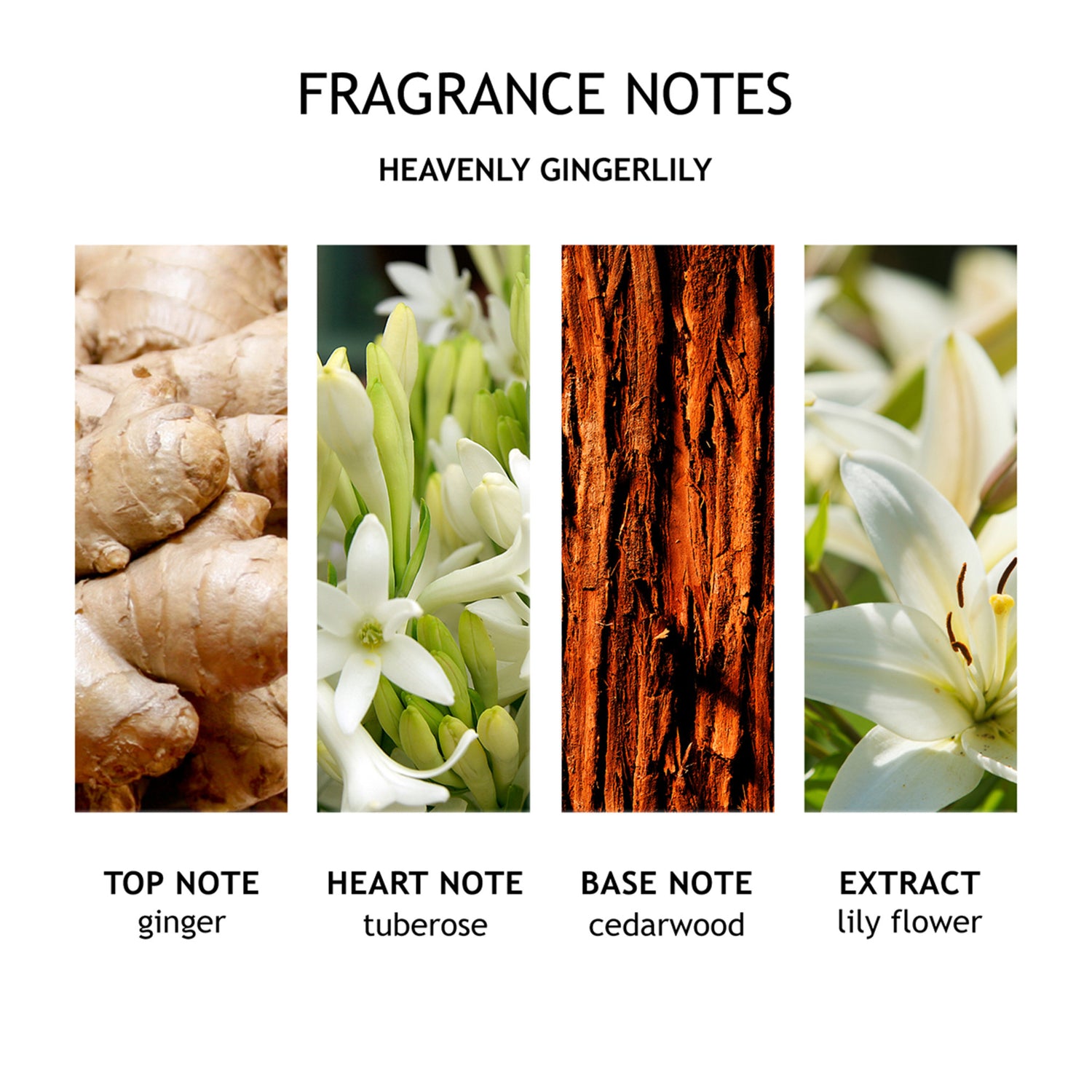 Molton Brown Heavenly Gingerlily Hand Lotion lifestyle image .