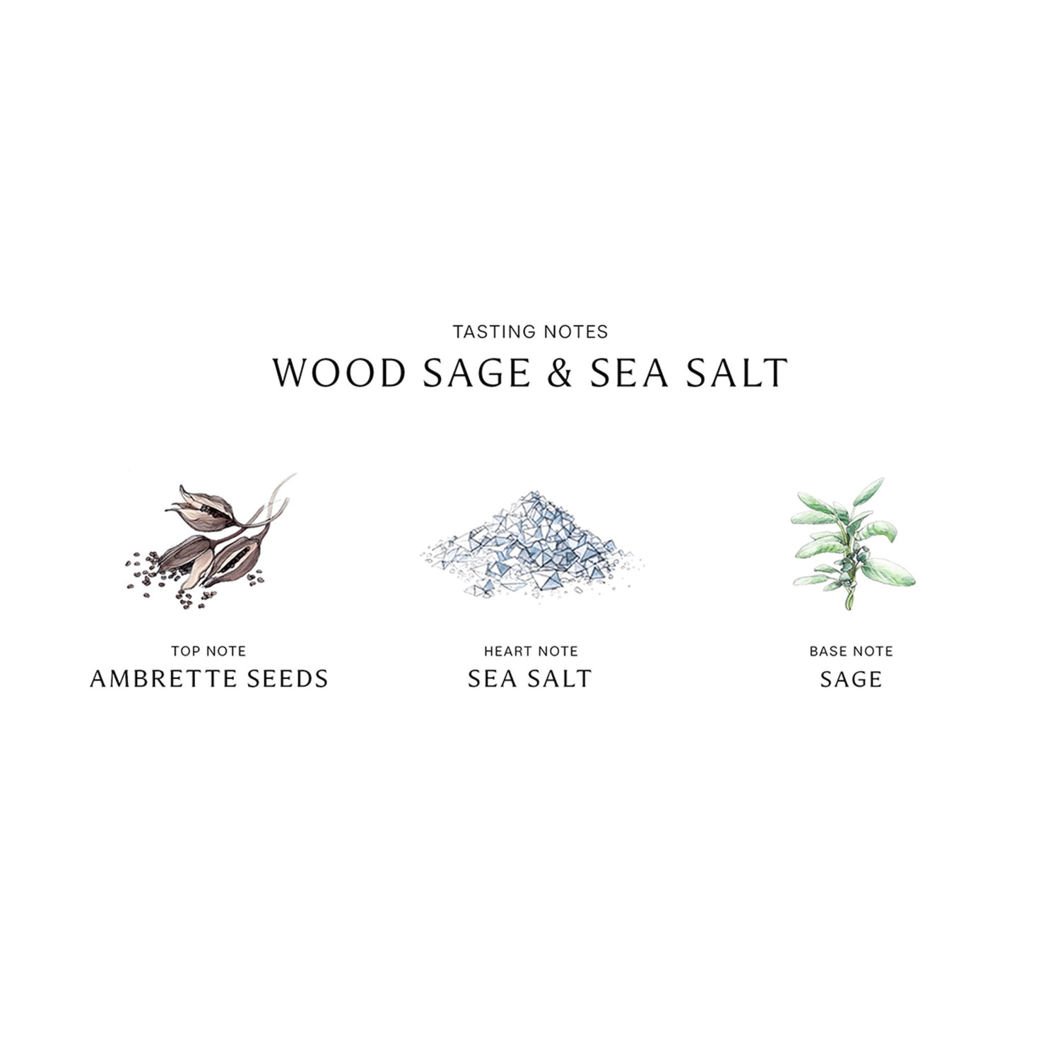 Jo Malone London Special-Edition Wood Sage & Sea Salt Cologne