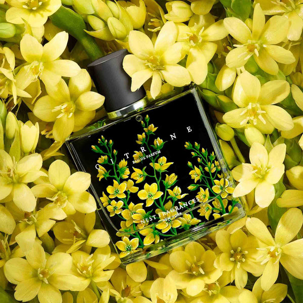 Nest Citrine Eau de Parfum Nest bluemercury