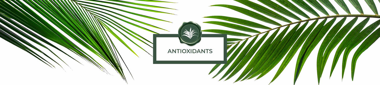 Antioxidants