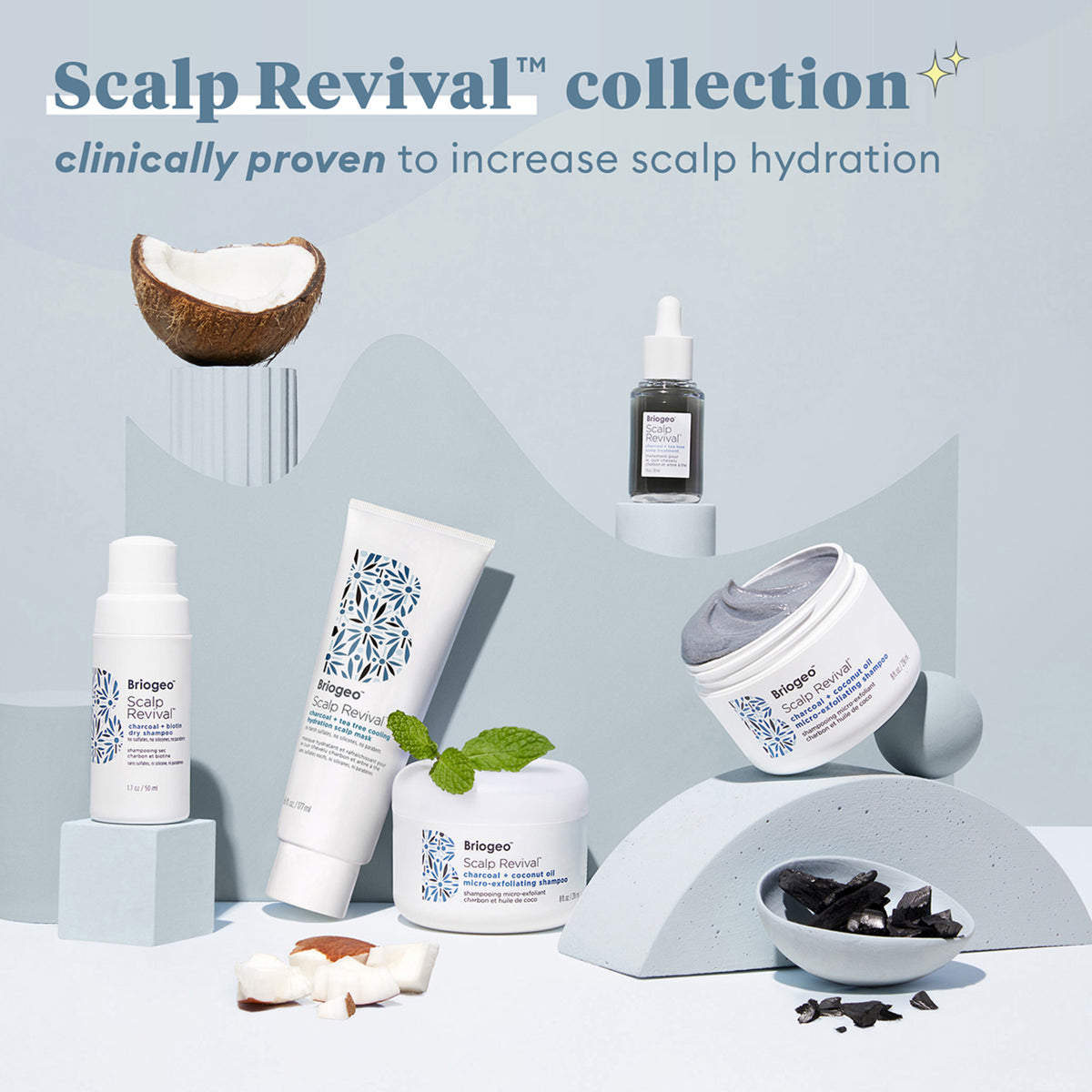 Briogeo Scalp Revival Charcoal and Biotin Dry Shampoo .