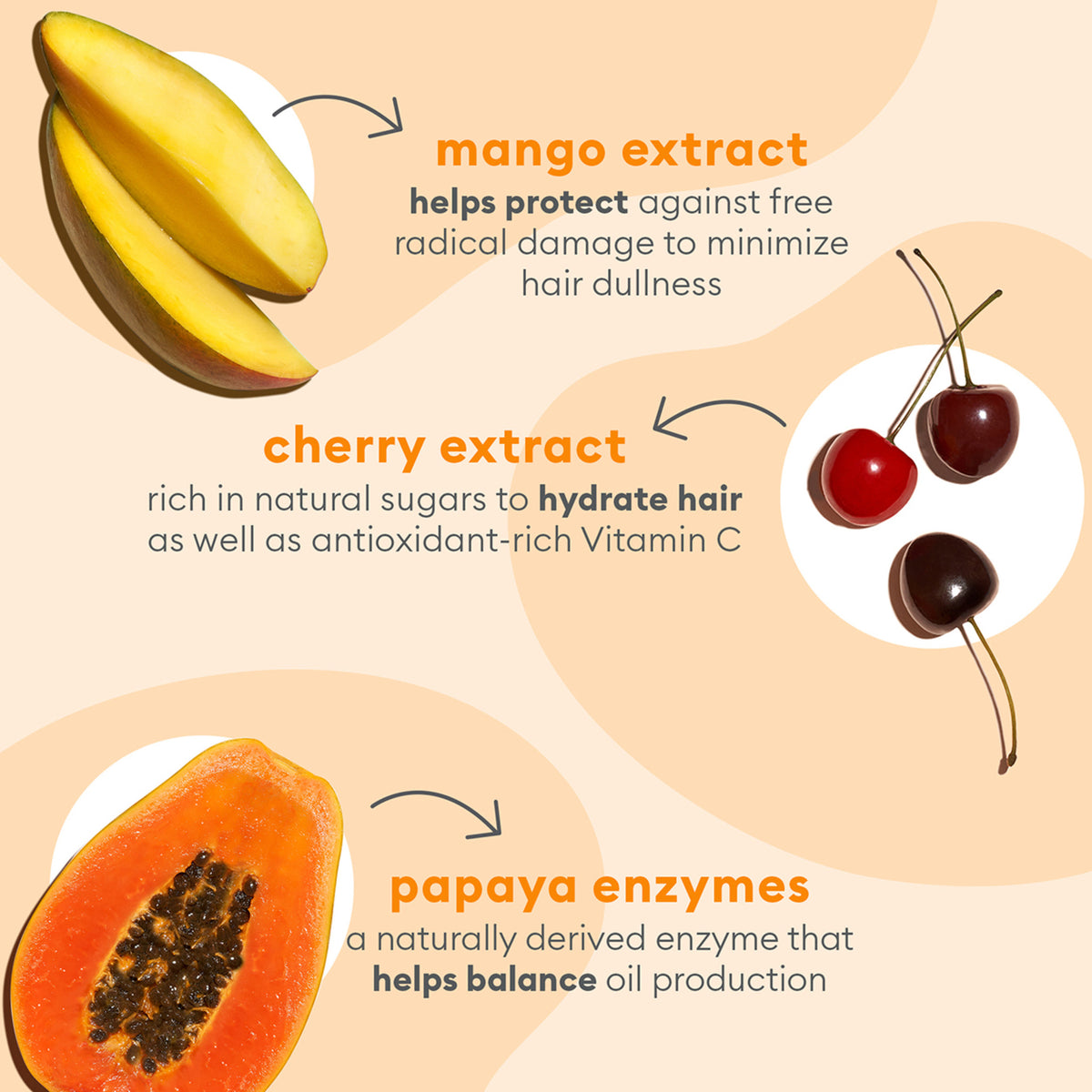 Briogeo Superfoods Mango and Cherry Oil Control and Balancing Shampoo .