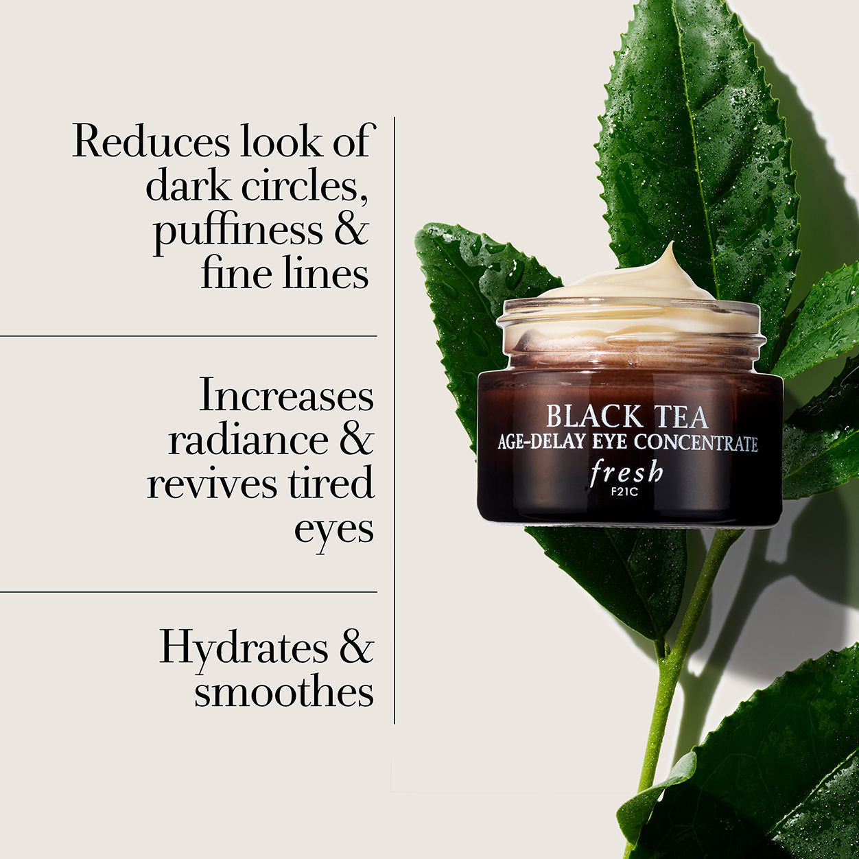 Fresh Black Tea Age Delay Eye Cream