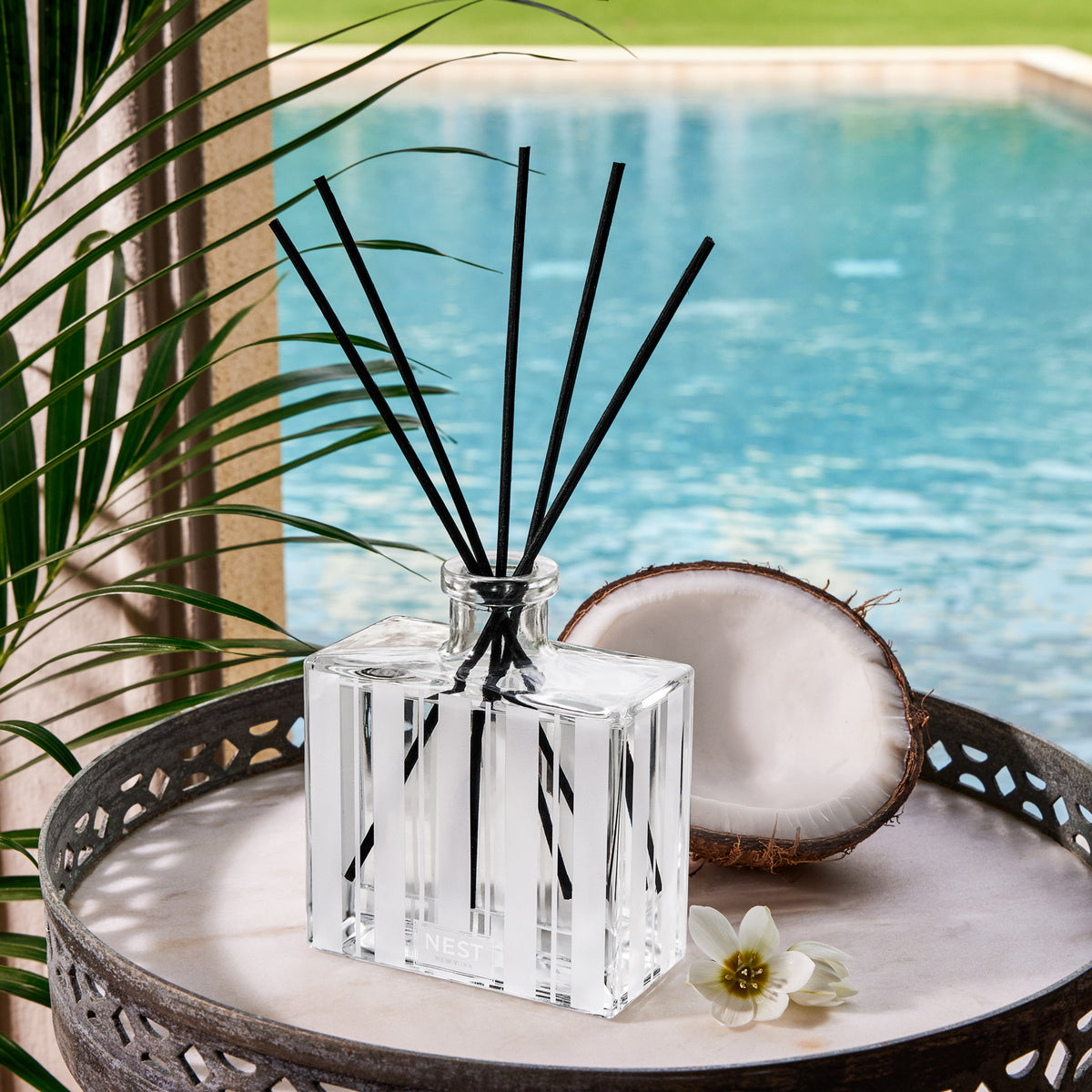 Nest Coconut and Palm Reed Diffuser .