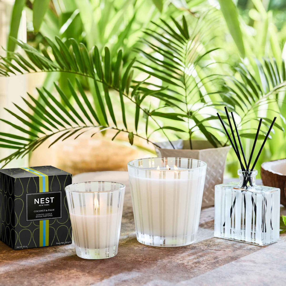 Nest Coconut and Palm Reed Diffuser .