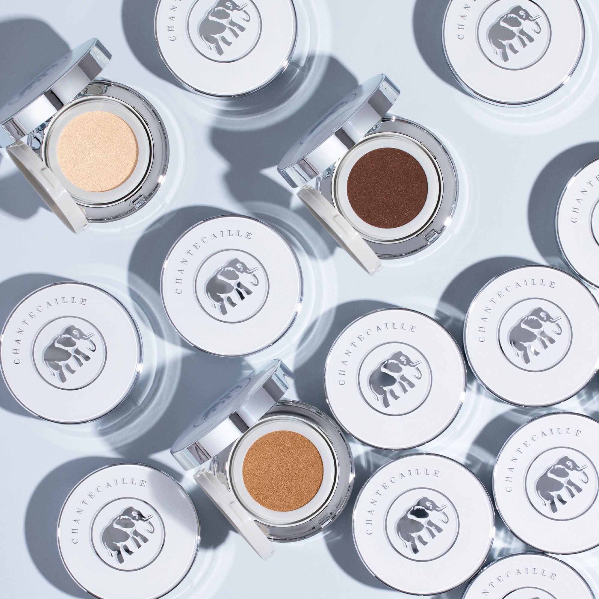 Chantecaille Future Skin Cushion Skincare Foundation