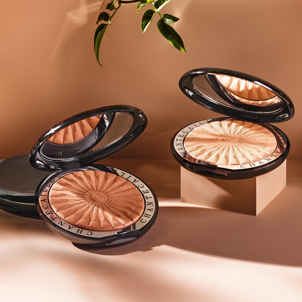 Chantecaille Perfect Blur Finishing Powder . This product is in the color bronze, for medium and deep complexions