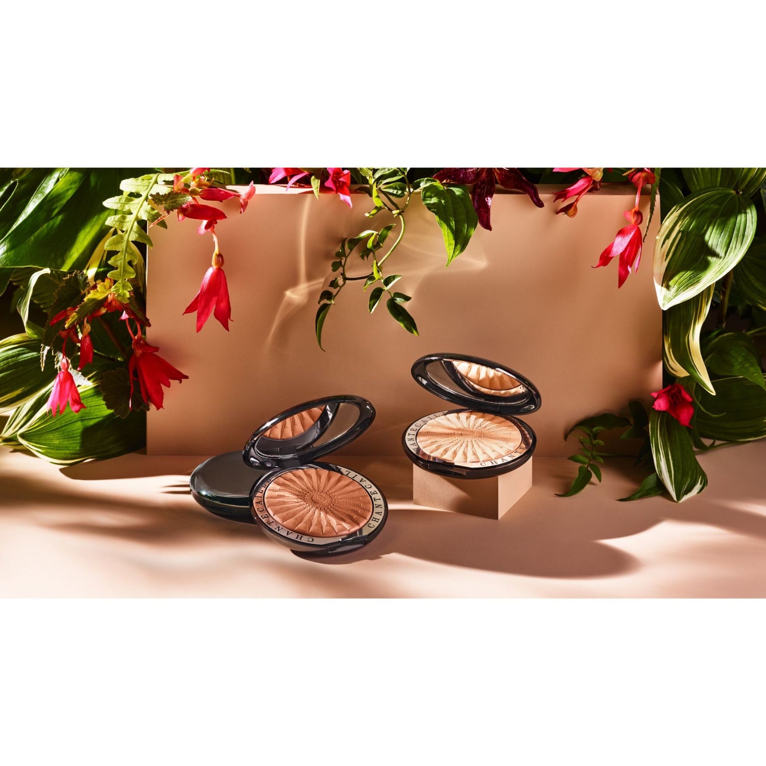 Chantecaille Perfect Blur Finishing Powder . This product is in the color bronze, for medium and deep complexions