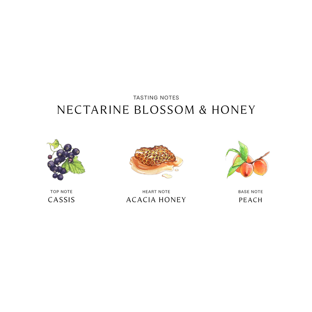 Jo Malone London Nectarine Blossom and Honey Cologne .