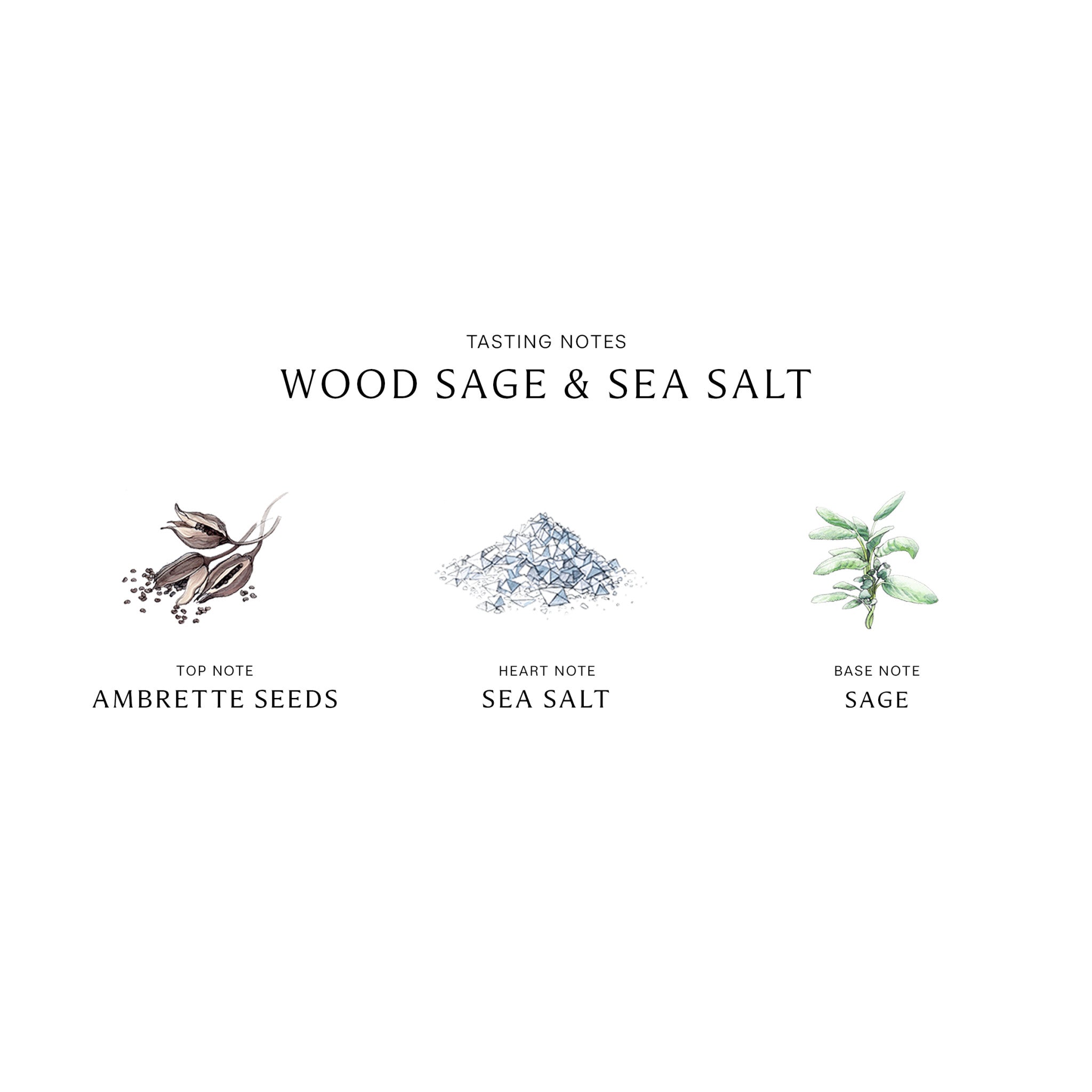Jo Malone London Wood Sage and Sea Salt Cologne – bluemercury