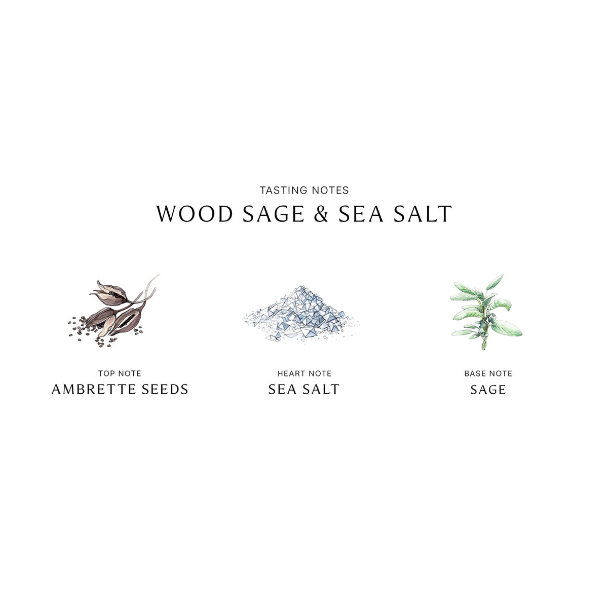 Jo Malone London Wood Sage and Sea Salt Cologne .
